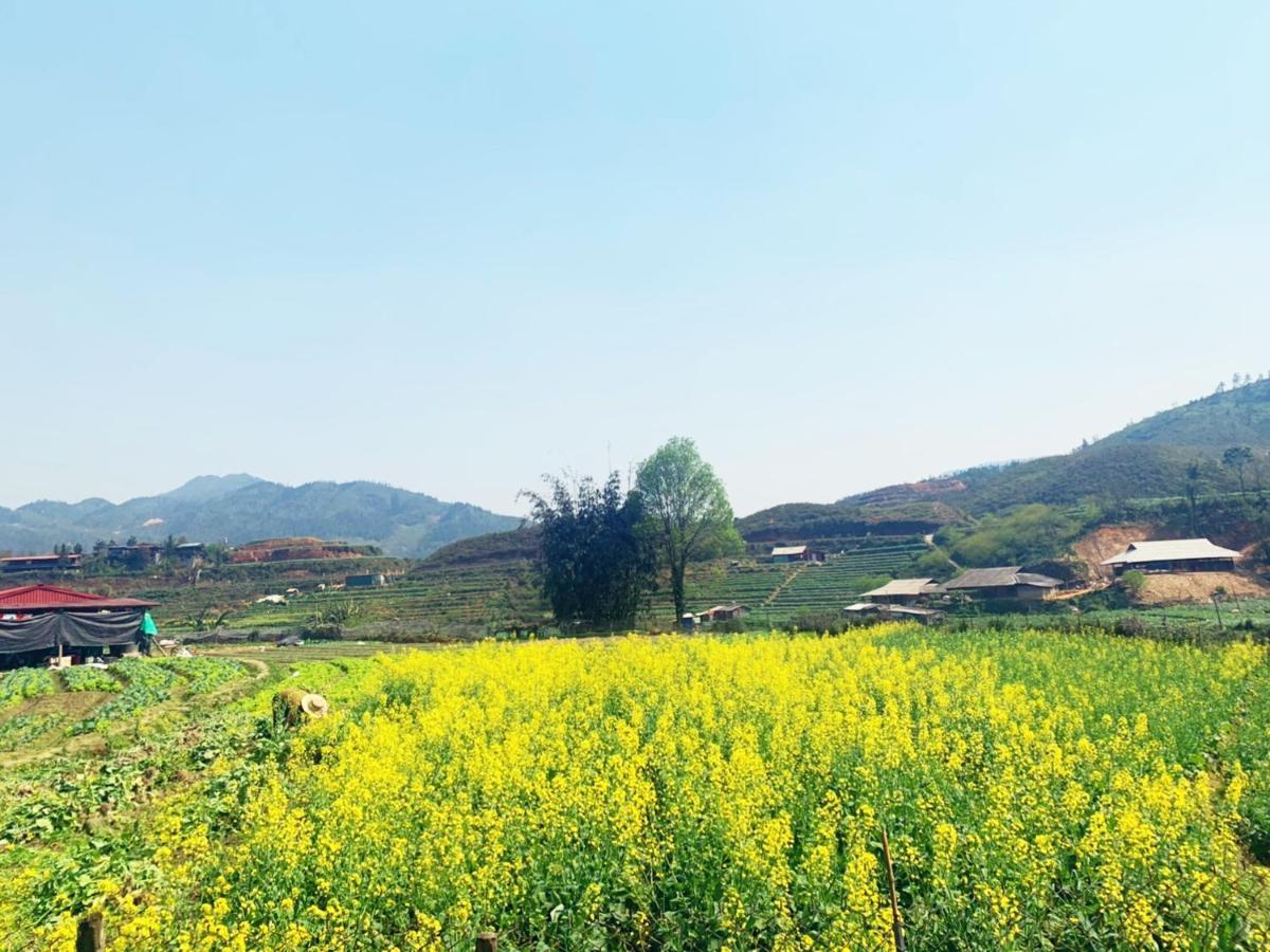 Homestay số 91-Suối Hồ Sa Pa Ngoại thất bức ảnh