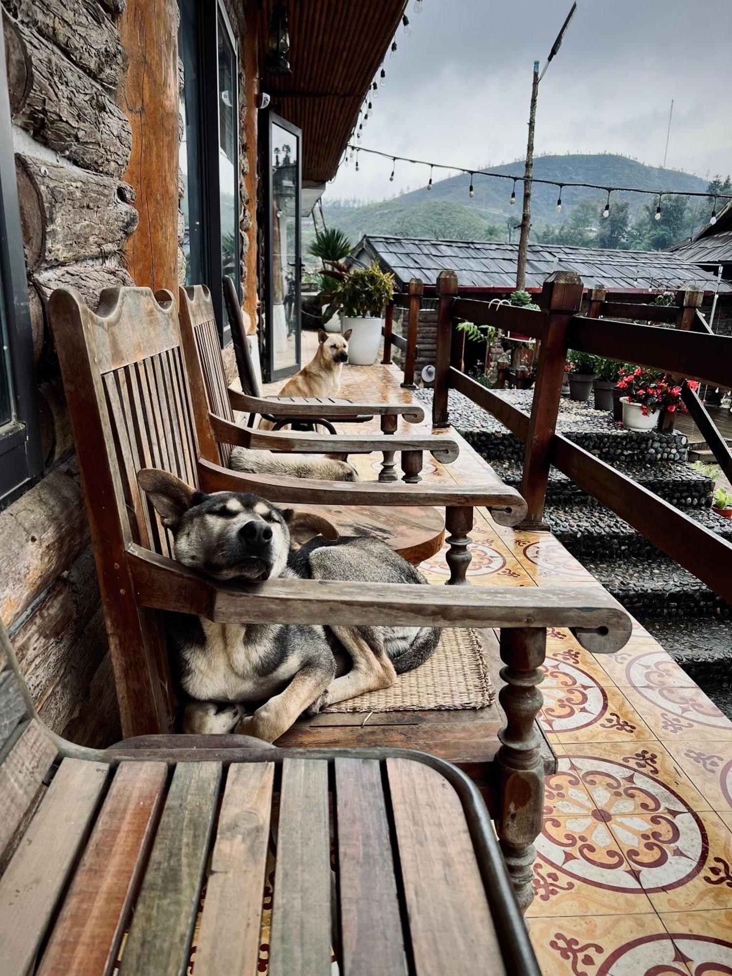 Homestay số 91-Suối Hồ Sa Pa Ngoại thất bức ảnh